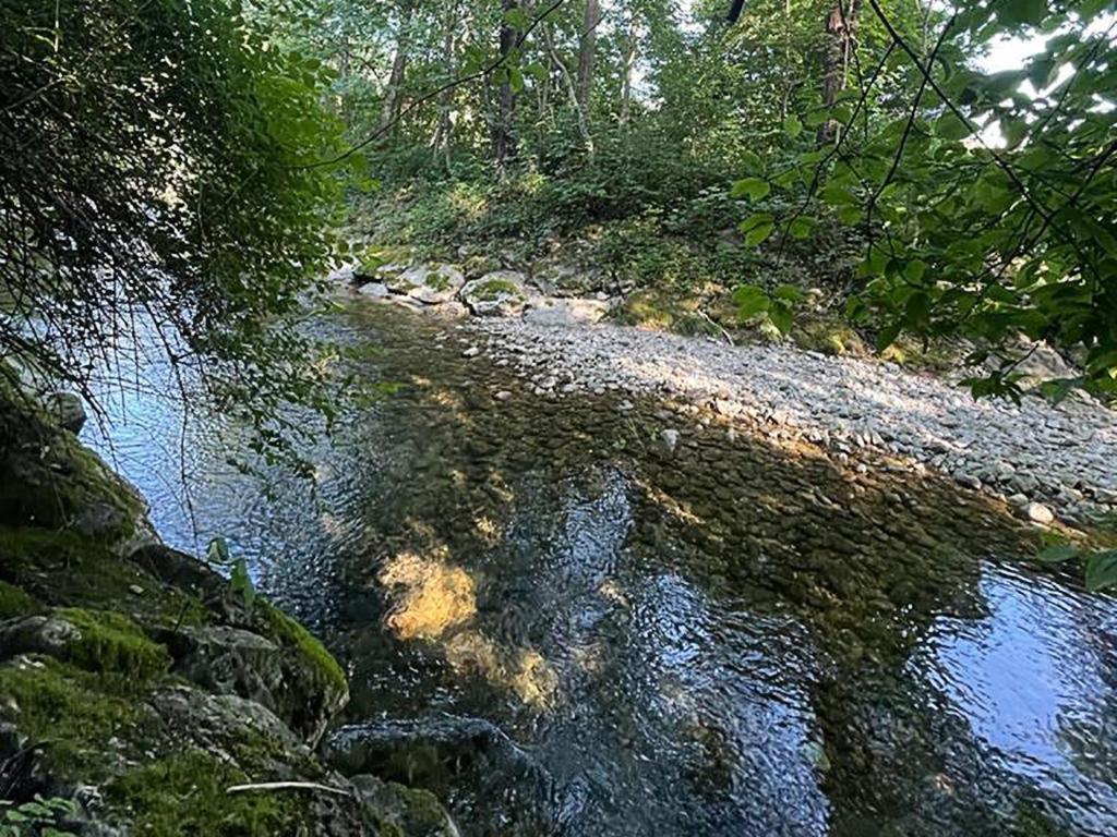 Haus Am Bach Leilighet Erl Eksteriør bilde